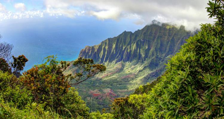 Les crêtes déchiquetées et spectaculaires de la côte de Nā Pali s'élevant au-dessus de l'océan Pacifique, vues à travers la végétation tropicale.