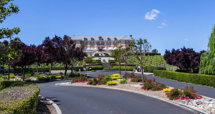 Élégant domaine viticole entouré de jardins colorés, de vignobles et d'une allée en asphalte foncé sous un ciel bleu éclatant.