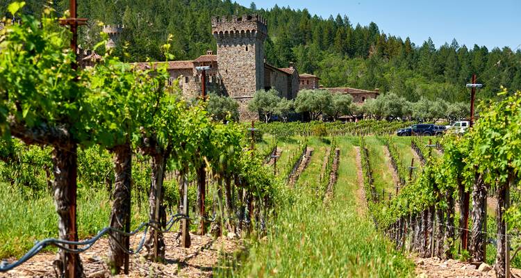 Un établissement vinicole de style château en pierre s'élève derrière des rangées de vignes luxuriantes dans la Vallée de Napa.