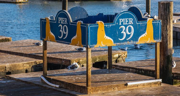 Plate-forme vide en bois pour l'observation des otaries marquée « Pier 39 » reposant sur des quais flottants dans le port.
