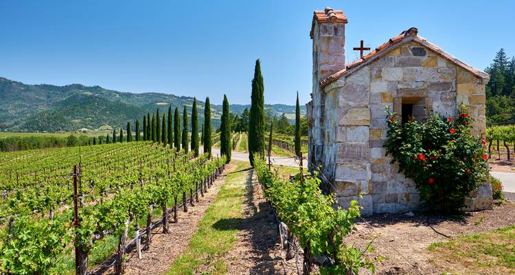Chapelle en pierre et grands cyprès aux côtés de rangées ordonnées de vignes s'étendant vers les collines lointaines.