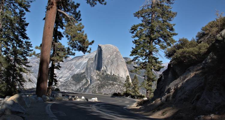 Vue du Half Dome encadrée par de grands sapins le long d'une route de montagne sinueuse.