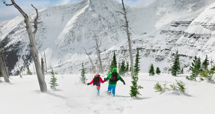Deux skieurs dévallent une pente enneigée couverte de poudreuse fraîche sur une montagne bordée de sapins.