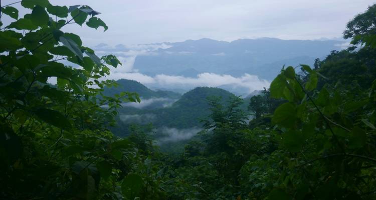 Des montagnes couvertes de jungle brumeuse s'étendant en couches dans la distance, encadrées par un feuillage vert dense.