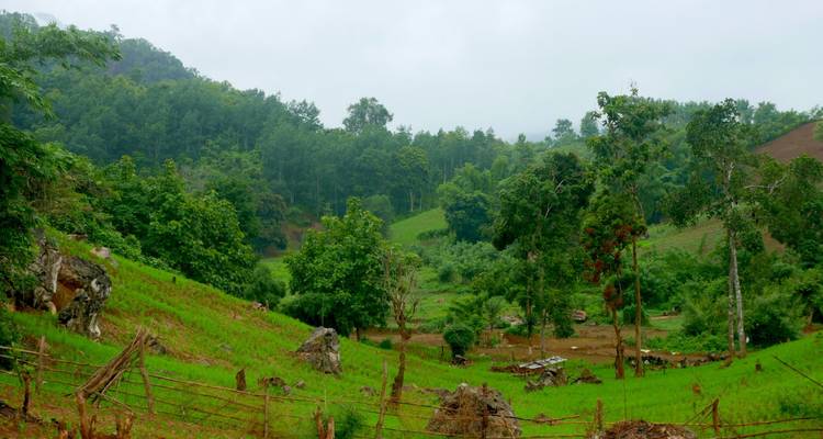 Vallée rurale verdoyante avec des arbres épars, des champs et des collines boisées peu élevées sous un ciel brumeux.