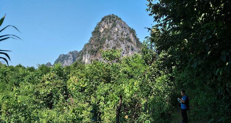 Le voyageur se tient parmi une végétation de jungle dense admirant un pic de calcaire karstique sur un ciel dégagé.