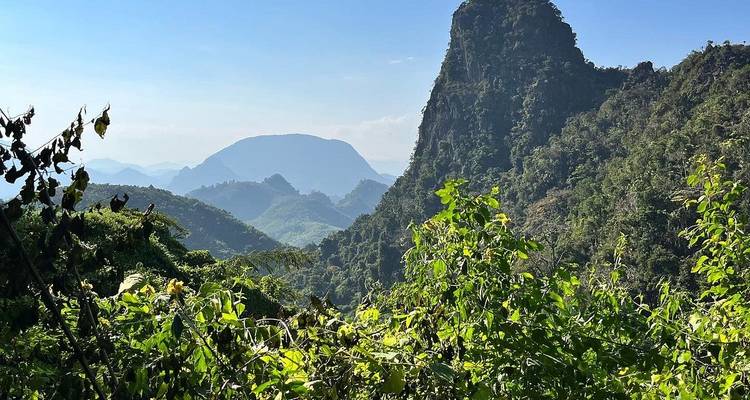Des montagnes karstiques recouvertes de jungle en strates s'estompent dans une brume lointaine sous un ciel bleu éclatant.