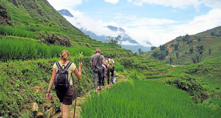 Los mochileros caminan por un sendero estrecho entre las exuberantes terrazas de arroz verde en las montañas de Sapa.