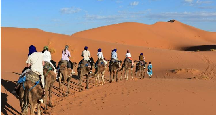 Karavaan van toeristen die in een rij op kamelen rijden over gouden zandduinen onder een heldere blauwe lucht