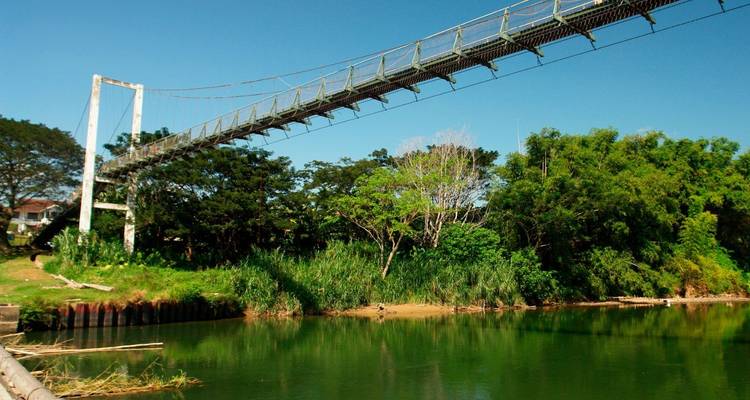 Long pont suspendu blanc enjambe un fleuve vert calme entouré d'une luxuriante végétation tropicale.