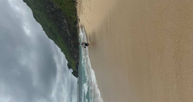 Figura solitaria caminando a lo largo de una playa amplia y vacía bajo cielos grises y acantilados boscosos lejanos.