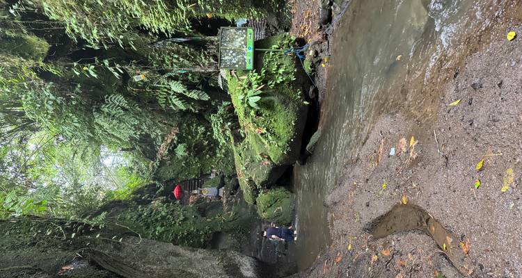 Un pequeño desfiladero con un arroyo poco profundo, acantilados verdes y exuberantes, y una sola persona bañándose cerca de un santuario balinés.