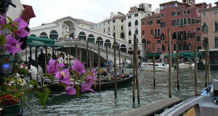 Gondeln gleiten unter der ikonischen Rialto-Brücke am Großkanal von Venedig, umrahmt von violetten Blüten.