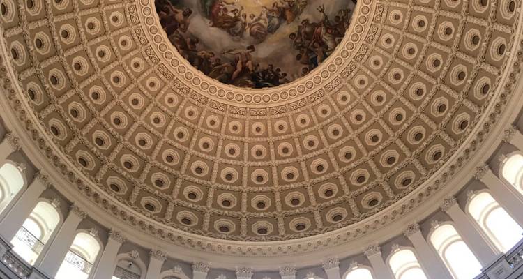 Plafond à dôme aux motifs complexes de la Rotonde du Capitole américain