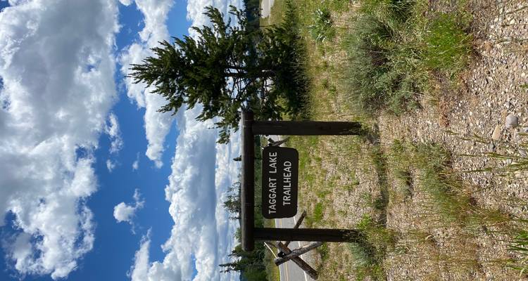 Holzschild am Trailhead mit der Aufschrift "Taggart Lake Trailhead" neben einer Landstraße unter teilweise bewölktem Himmel.