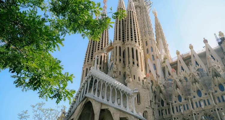 Vista hacia arriba de las torres ornamentadas y fachadas de la Sagrada Família de Barcelona enmarcadas por ramas frondosas.