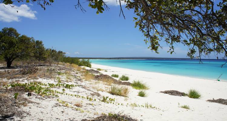Pristine stretch of white sand and glowing aqua sea backed by low shrub and bright blue sky.