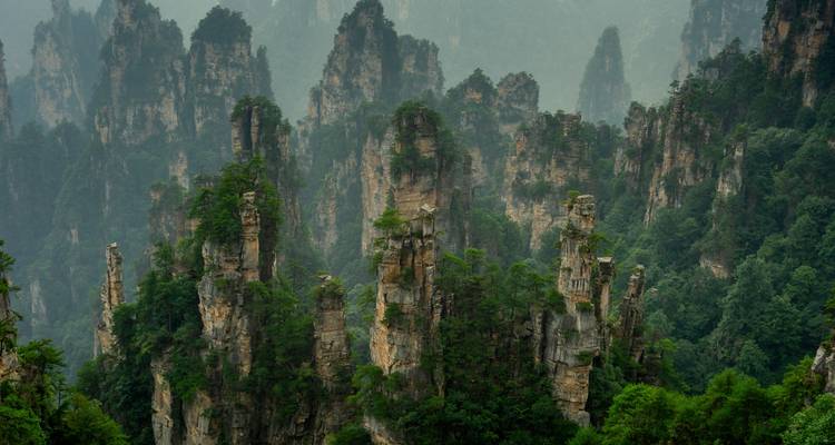 Dramatische pijlervormige zandsteenpiek verheffing zich boven mistige bosrijke dalen in het Zhangjiajie Nationaal Bospark.