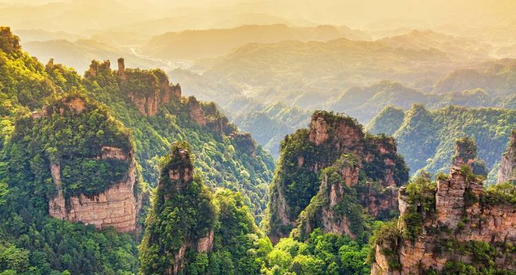 Gouden zonsopgangslicht baadt de torenhoge zandsteenpinakels en weelderige valleien van Zhangjiajie in gloed.