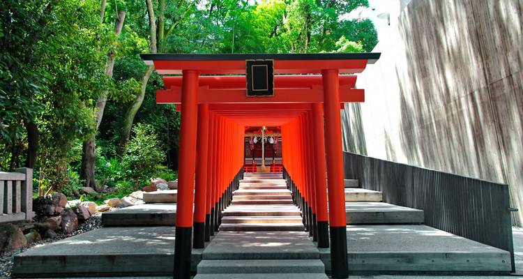 Una perspectiva a través de un túnel de vibrantes puertas torii de color bermellón que lleva a un santuario sintoísta.