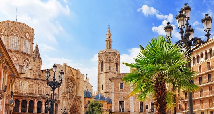 Les bâtiments historiques et la tour de la cathédrale entourant la Plaza de la Virgen ensoleillée de Valence avec un palmier