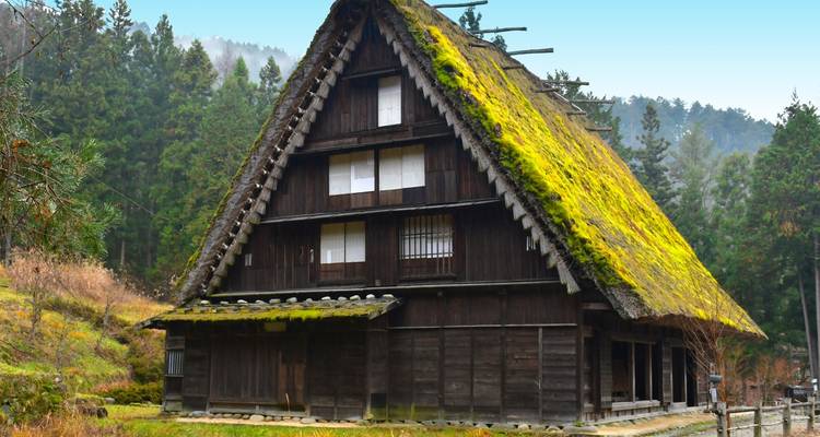 Traditional gasshō-zukuri farmhouse with moss-covered thatched roof in wooded mountain setting.