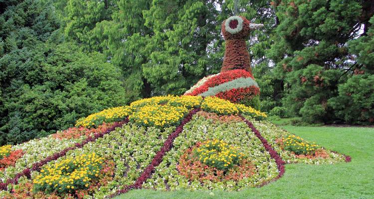 Große Blumenskulptur in Form eines Vogels aus bunten blühenden Pflanzen in einem Park