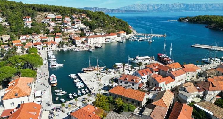 Luftaufnahme eines kompakten Hafendorfes mit roten Dächern und umgebendem Pinienwald auf der Insel Brač.
