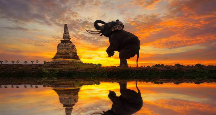 Elefante en silueta levantándose junto a una estupa reflejada en el agua durante una puesta de sol ardiente en Ayutthaya