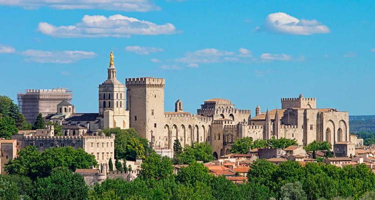 Les murs médiévaux et les tours du complexe du Palais des Papes dominent la silhouette d'Avignon au-dessus de la cime des arbres.