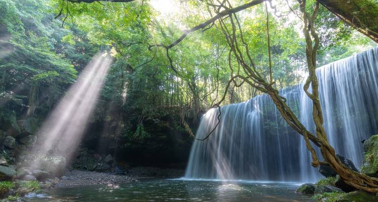 Serene forest waterfall with sunbeams streaming through lush green canopy.