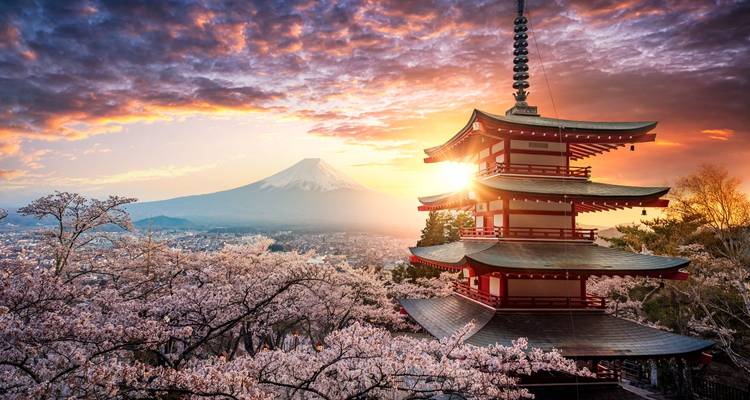 La Pagode Chureito encadrée par les fleurs de cerisier avec un lever de soleil éclatant et le Mont Fuji se dressant majestueusement au loin à l'aube dramatique.