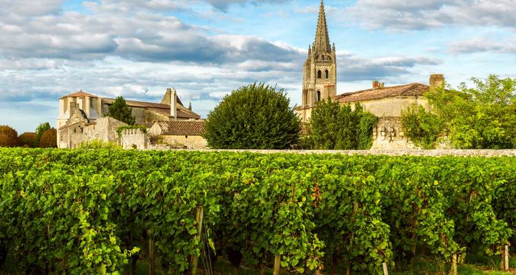Reihen üppiger Weinberge mit dem mittelalterlichen Turm von Saint-Émilion, der sich hinter den Dächern des Dorfes erhebt.