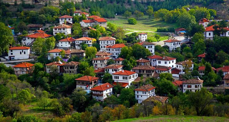 Picturesque hillside town with white Ottoman-style houses topped by red tile roofs surrounded by lush trees.
