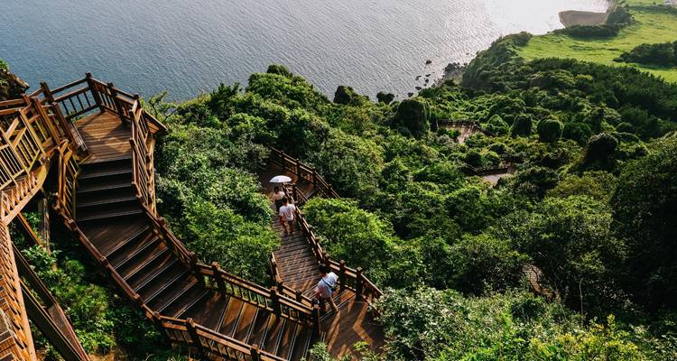 Sentier d'escalier en bois descendant le long de falaises côtières luxuriantes avec des visiteurs marchant vers le point de vue sur l'océan.