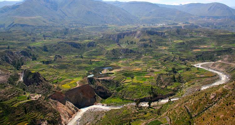 Weite Luftaufnahme des Colca-Canyons mit terrassierten Anbauflächen, gewundenem Fluss und entfernten Andenkämmen.