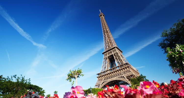 Foto tomada desde abajo de la Torre Eiffel enmarcada por flores brillantes y un cielo azul vivido con rastros de aviones a reacción.