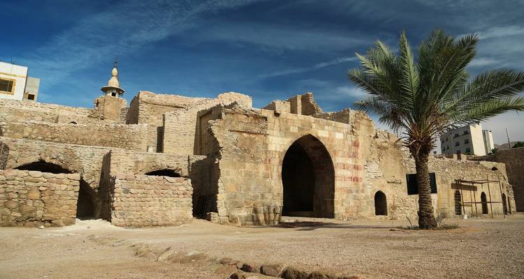 Des murs en pierre et une porte en arche d'une ancienne forteresse du désert avec un palmier solitaire sous un ciel bleu.
