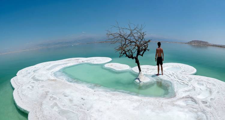 Voyageur solitaire se tenant à côté d'une piscine couverte de croûte de sel avec un arbre sans feuilles sur une petite île dans la mer Morte.