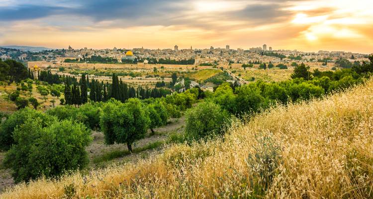 Breed uitzicht over Jeruzalem met de gouden Rotskoepel omringd door groene bomen bij zonsopgang.
