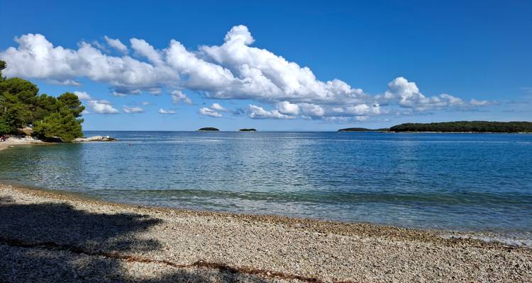Baie vaste et tranquille avec rivage de galets, pins à gauche et nuages cumulus spectaculaires