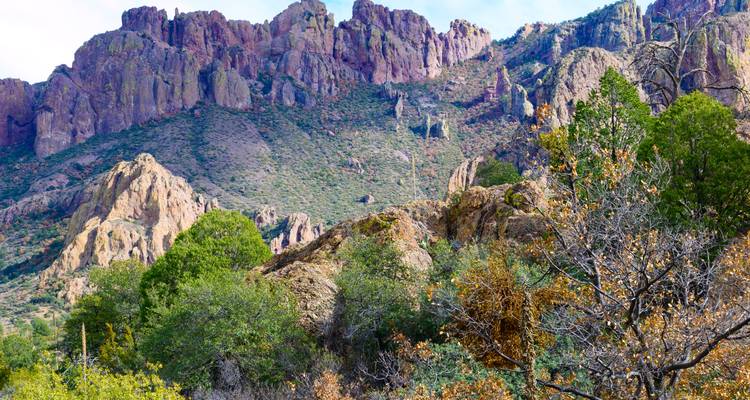 Colorful rocky mountains with green shrubs and trees in the foreground