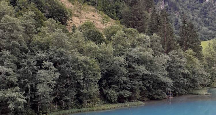 Lac forestier bleu et tranquille bordé par une forêt mixte dense et une pente abrupte.