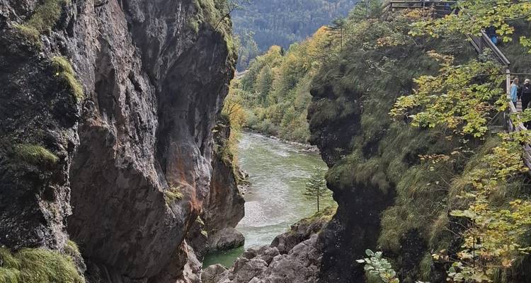 Canyon de rivière profonde avec falaises mousseuses et passerelle visible en hauteur sur la droite
