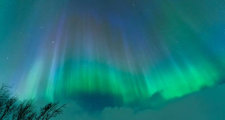 Groene aurora sluier stijgt op boven lage wolken met boomsilhouetten onderaan.