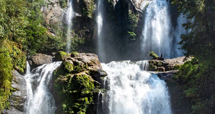Múltiples cascadas altas fluyendo por acantilados cubiertos de musgo en medio de la selva tropical exuberante.