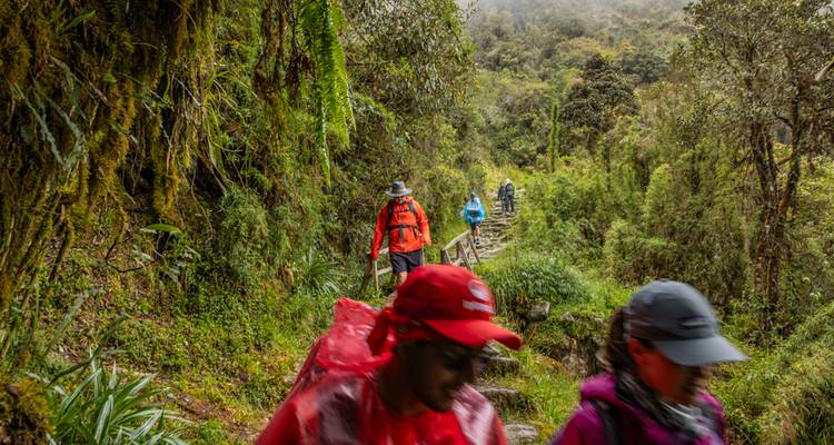Los excursionistas con equipo de lluvia avanzan por un sendero de selva húmeda y frondosa.