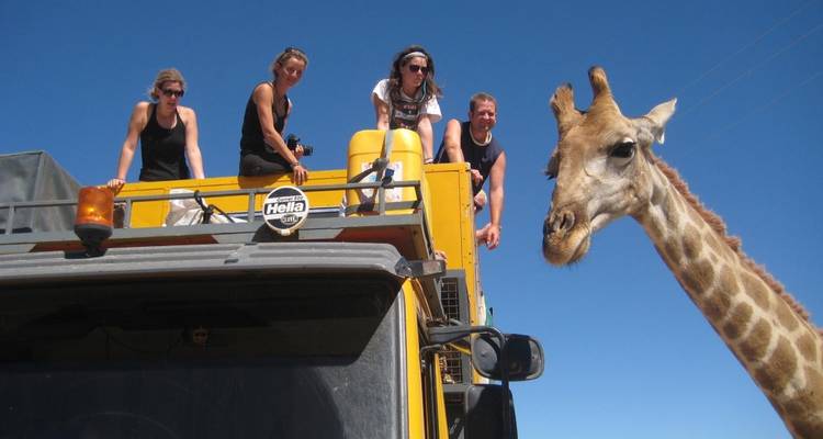 Group of people on top of a safari vehicle with a giraffe.