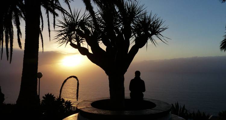 Silueta de un viajero sentado junto a un árbol de dragón mirando la puesta de sol sobre el océano.