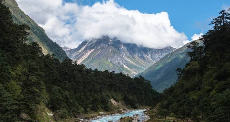 Picos del Himalaya cubiertos de nieve se alzan sobre un valle boscoso con un río de aguas color turquesa que corre rápidamente.